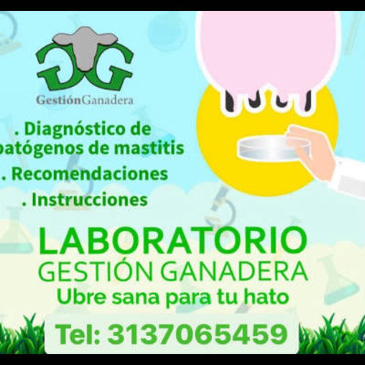 laboratorio gestion gnadera recomendaciones